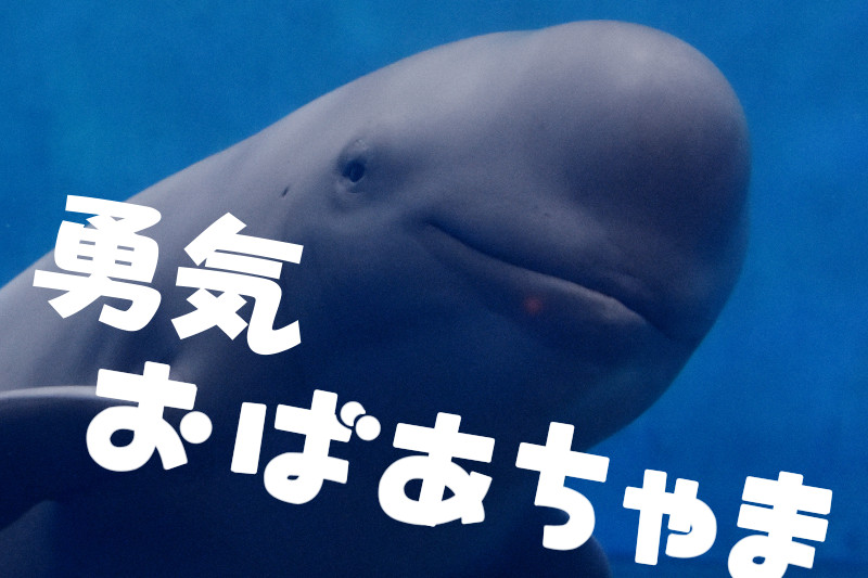 勇気おばあちゃま（No.77）